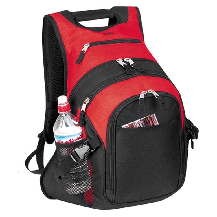 Deluxe Computer Backpack 1
