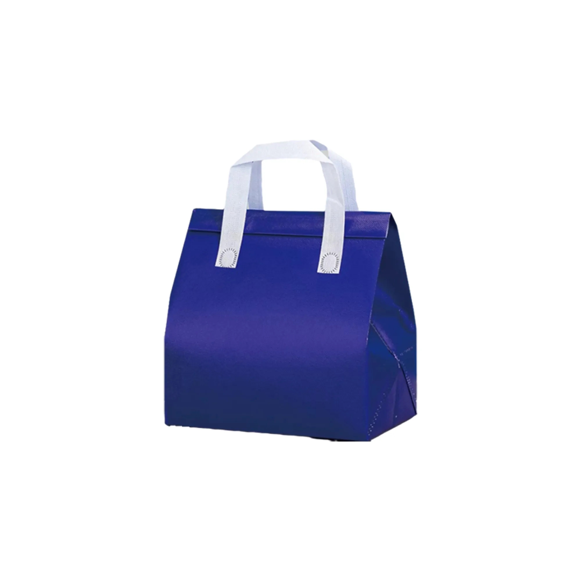 Non-Woven Insulated Handbag 12