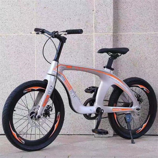 20 Mountain Bike 5