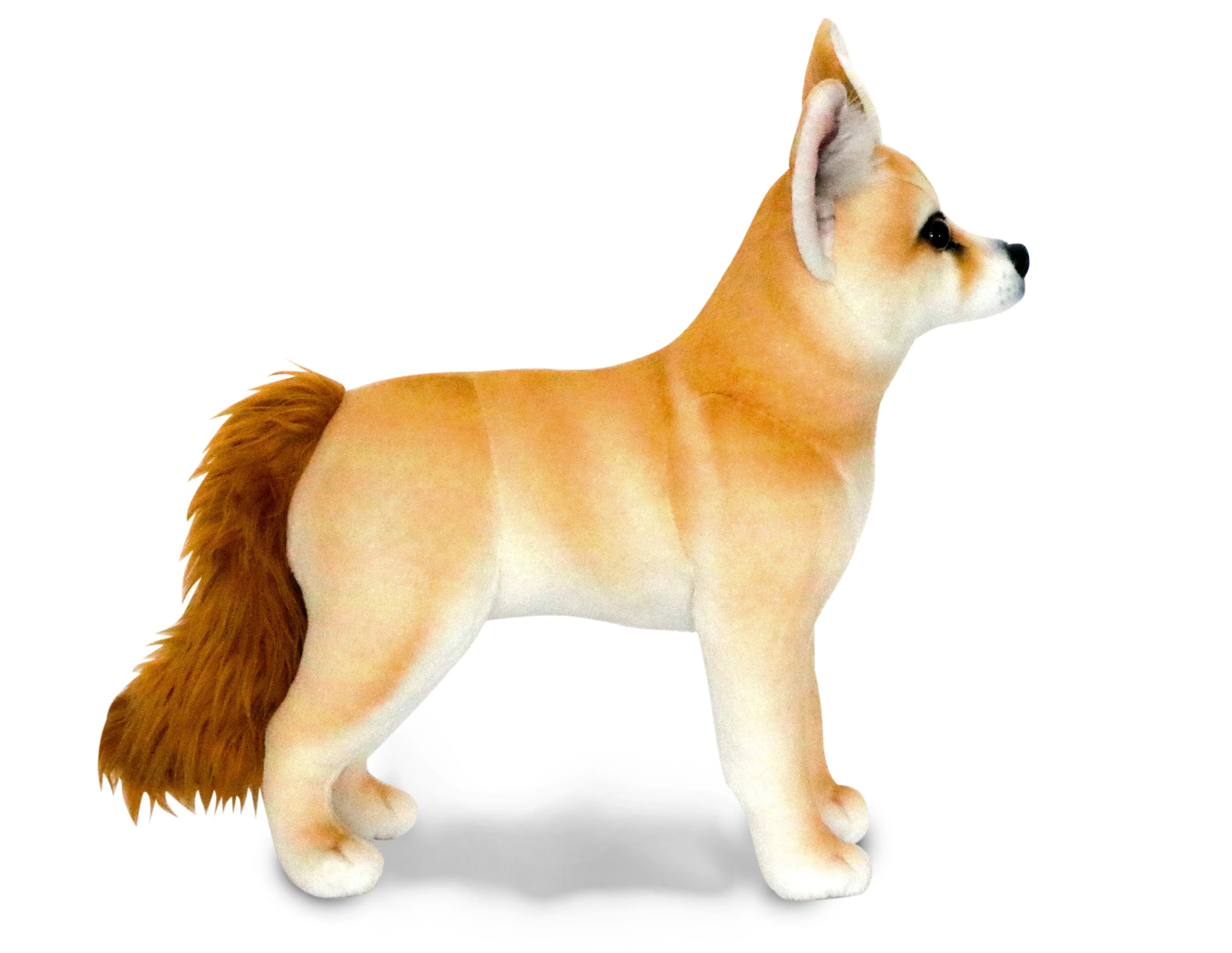 Fennec Fox 2