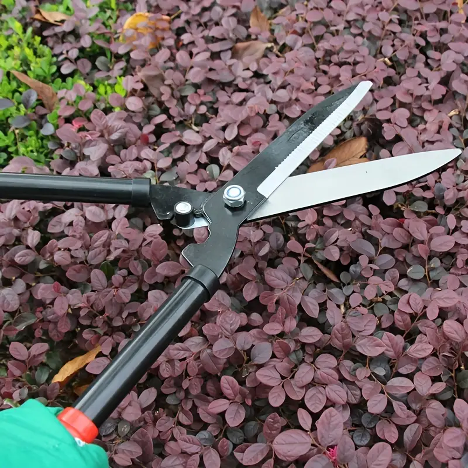 Garden pruners 4