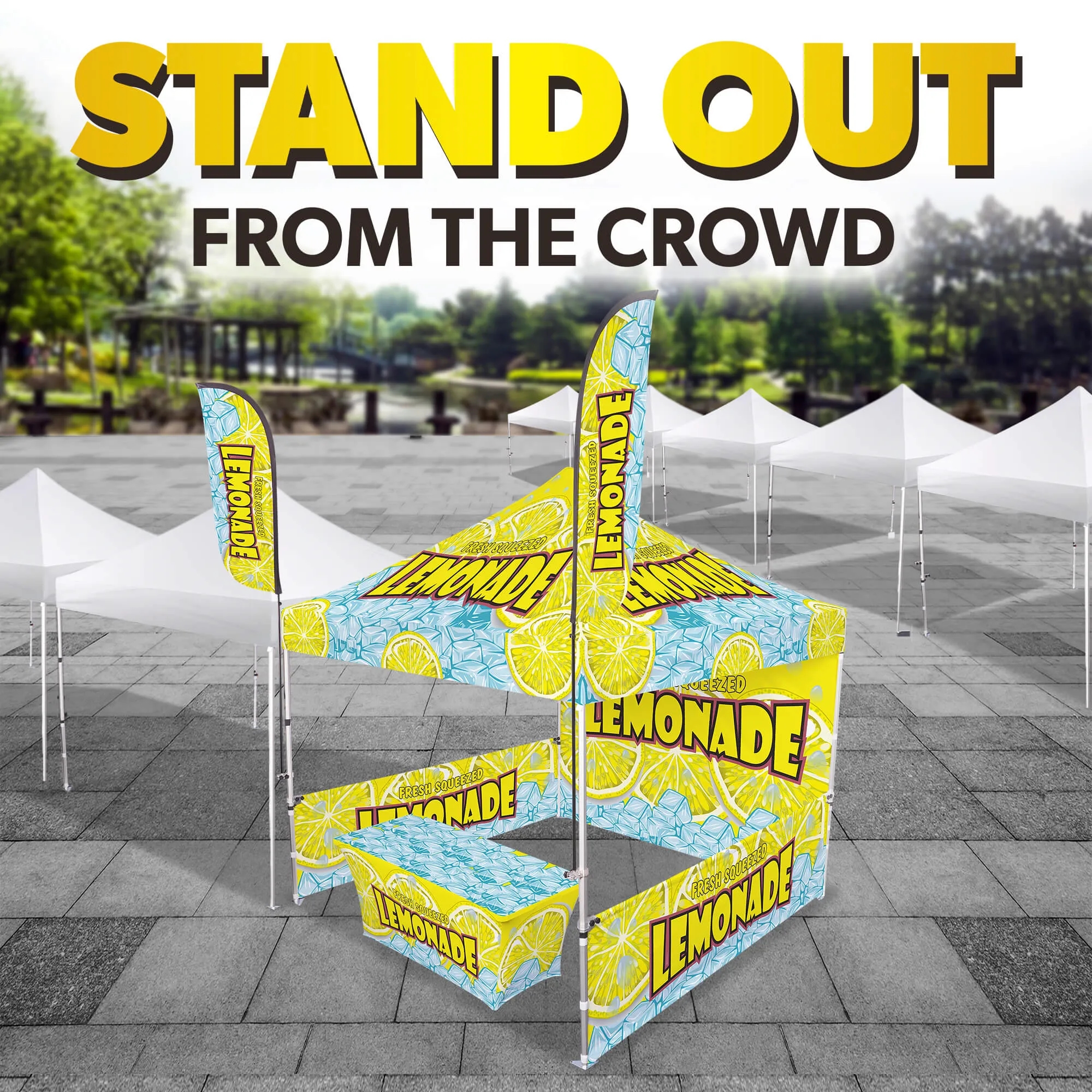 10ft x 10ft Custom Canopy Tent - Experience Gold Package 3