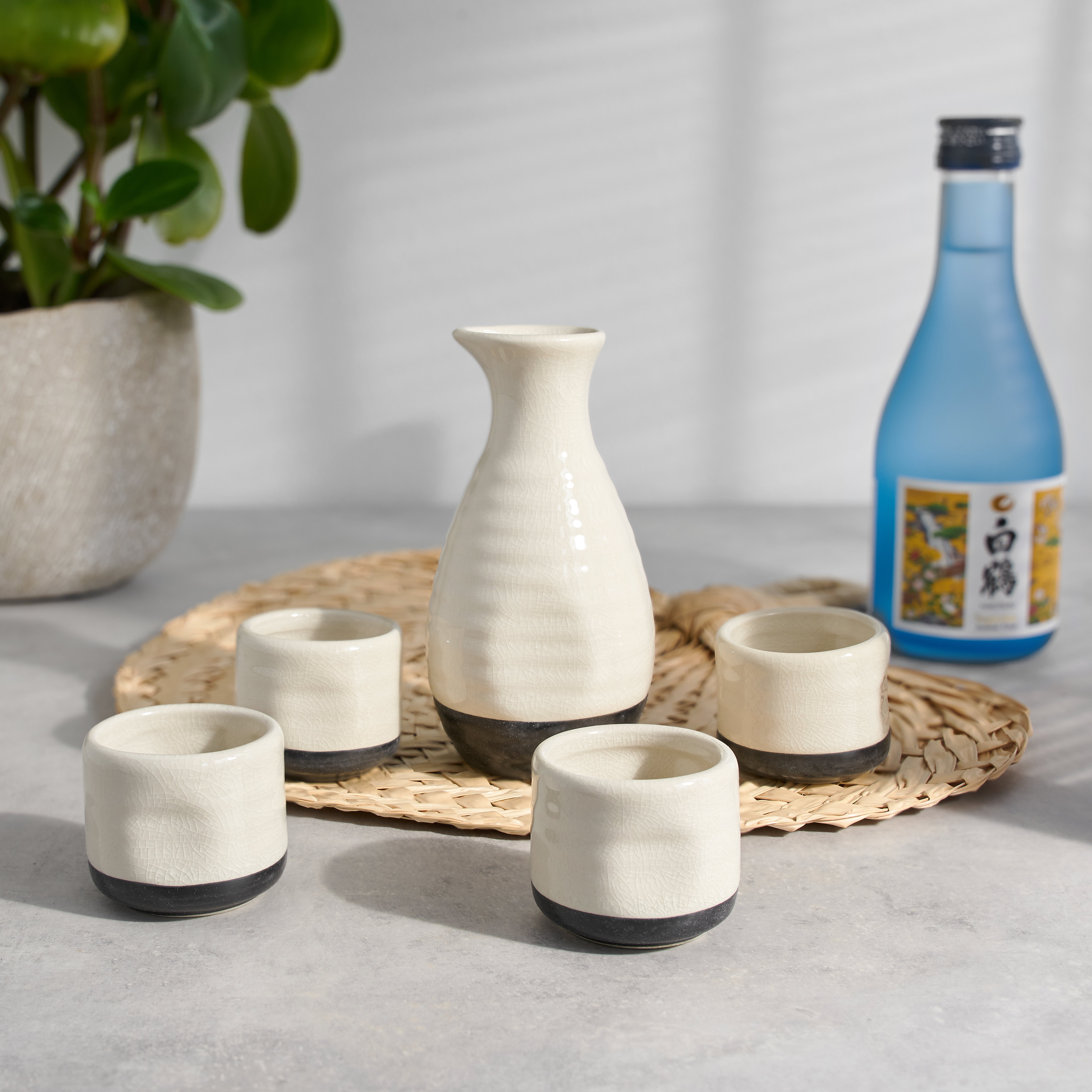 True® Fervor™: 5-Piece Sake Set 1