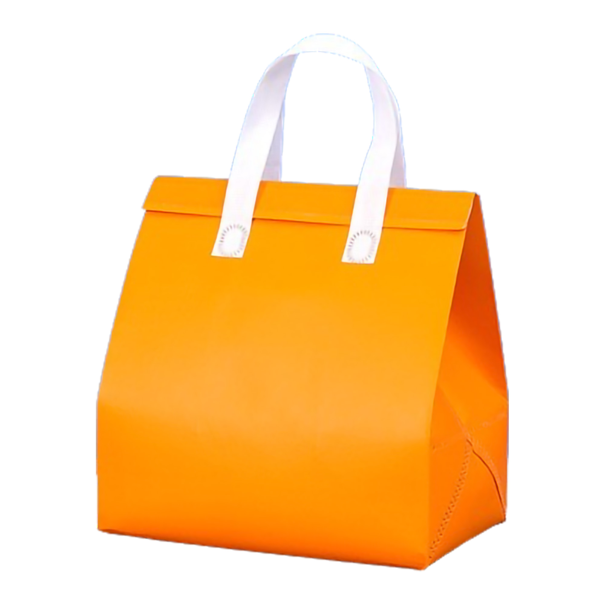 Waterproof Cooler Insulated Tote Bag MOQ50 4