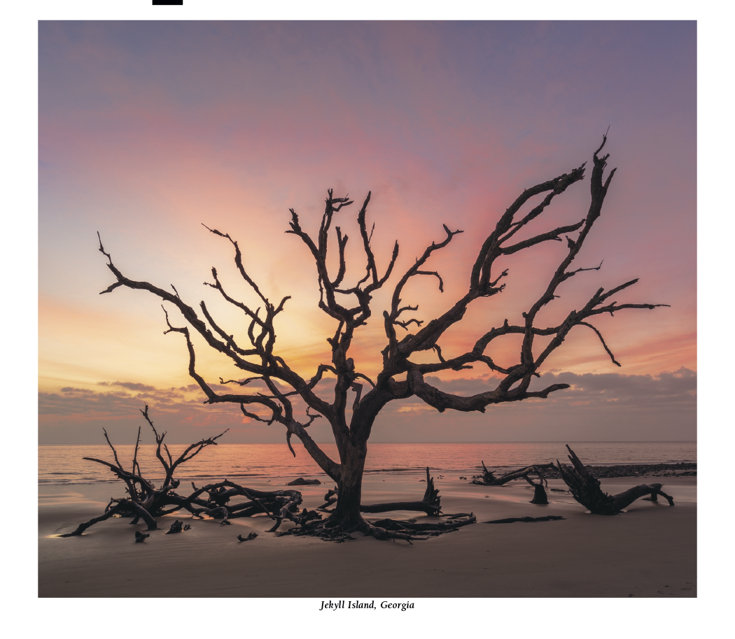 HotLine® Products Scenic America® Pocket Calendar 11