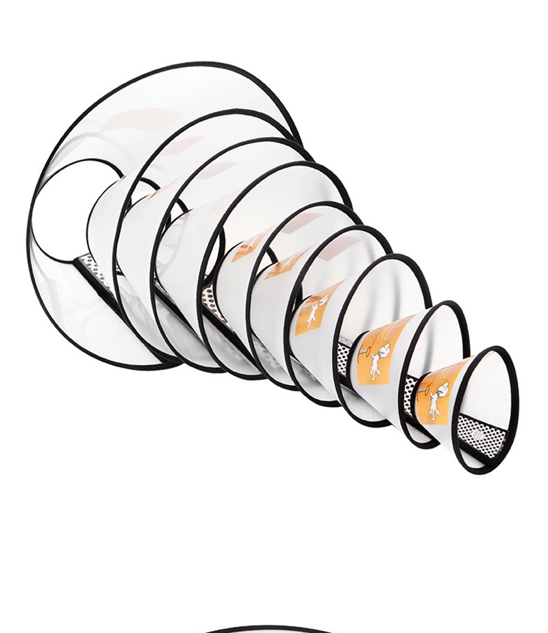 Dog Cone 3