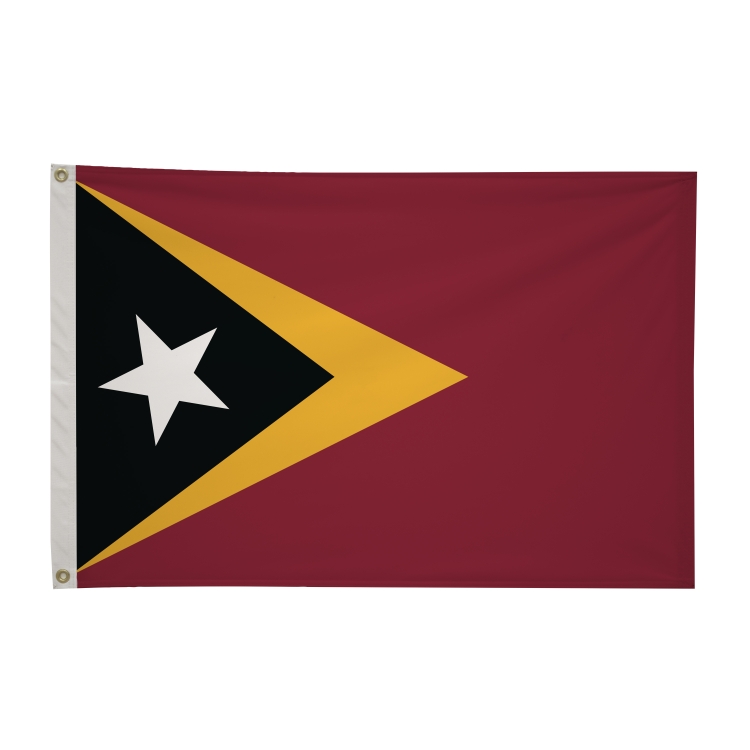 2' x 3'International Flag 329