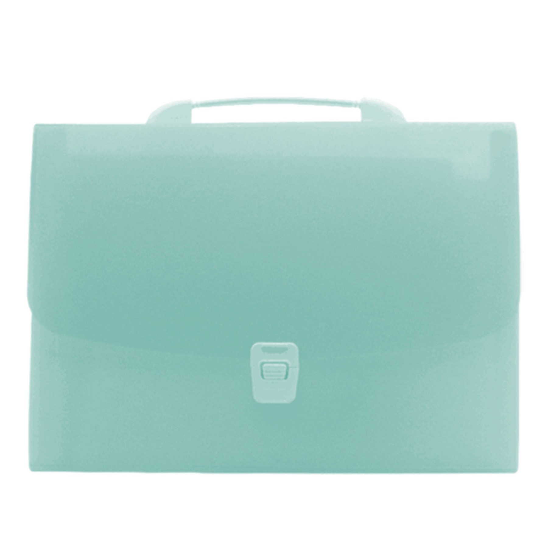 Portable Translucent Folder Bag 9