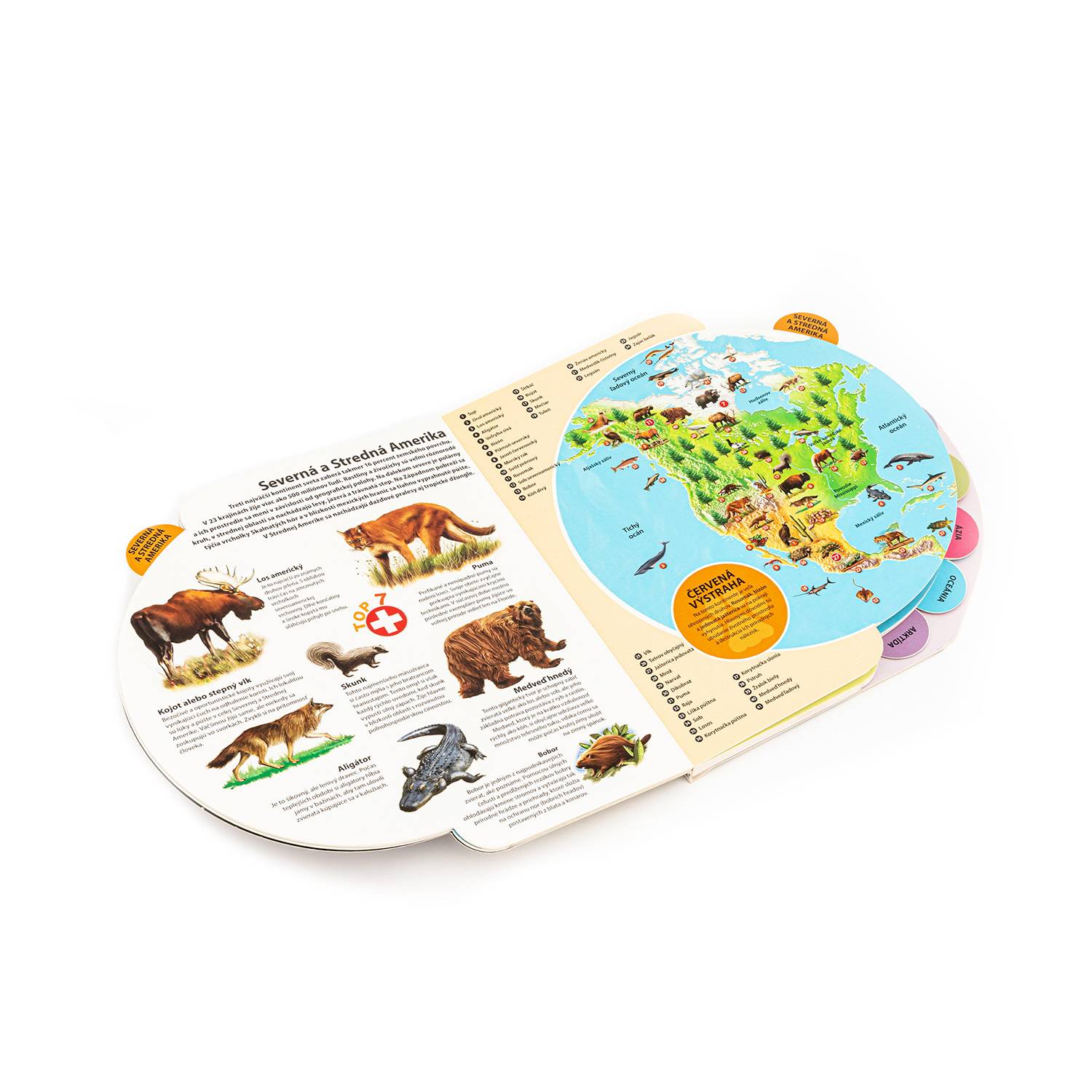 Colorful Die-Cut Indexed Board Book 1