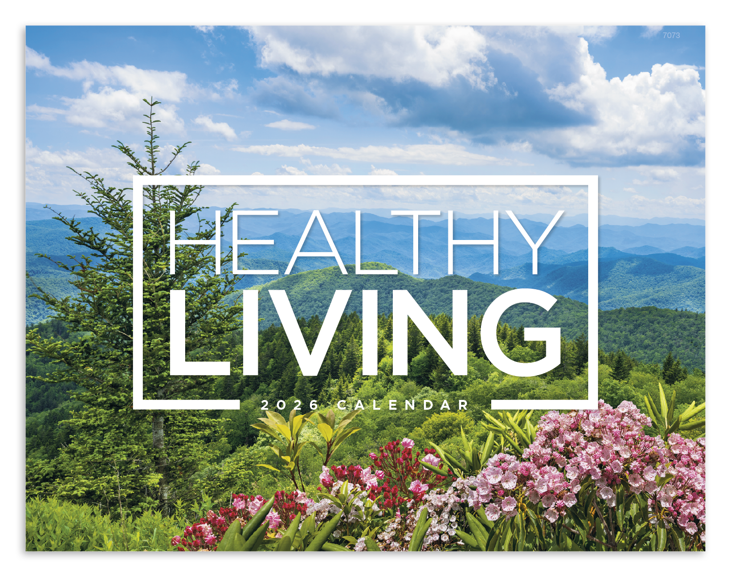 Good Value™ Healthy Living - Window Calendar 57