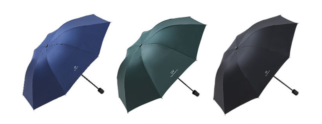 Folding Umbrella 1