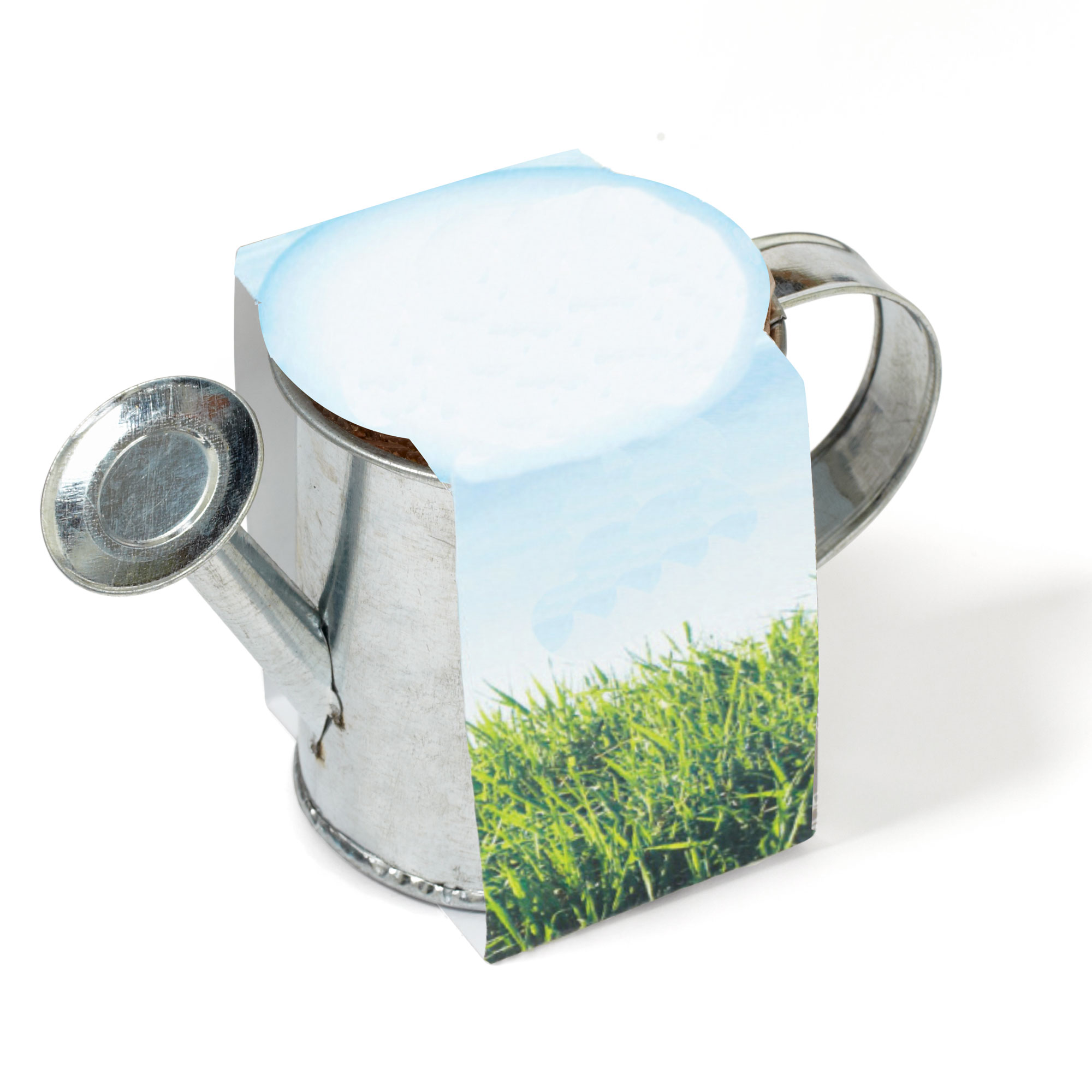 Watering Can Planter w/Seeds 3