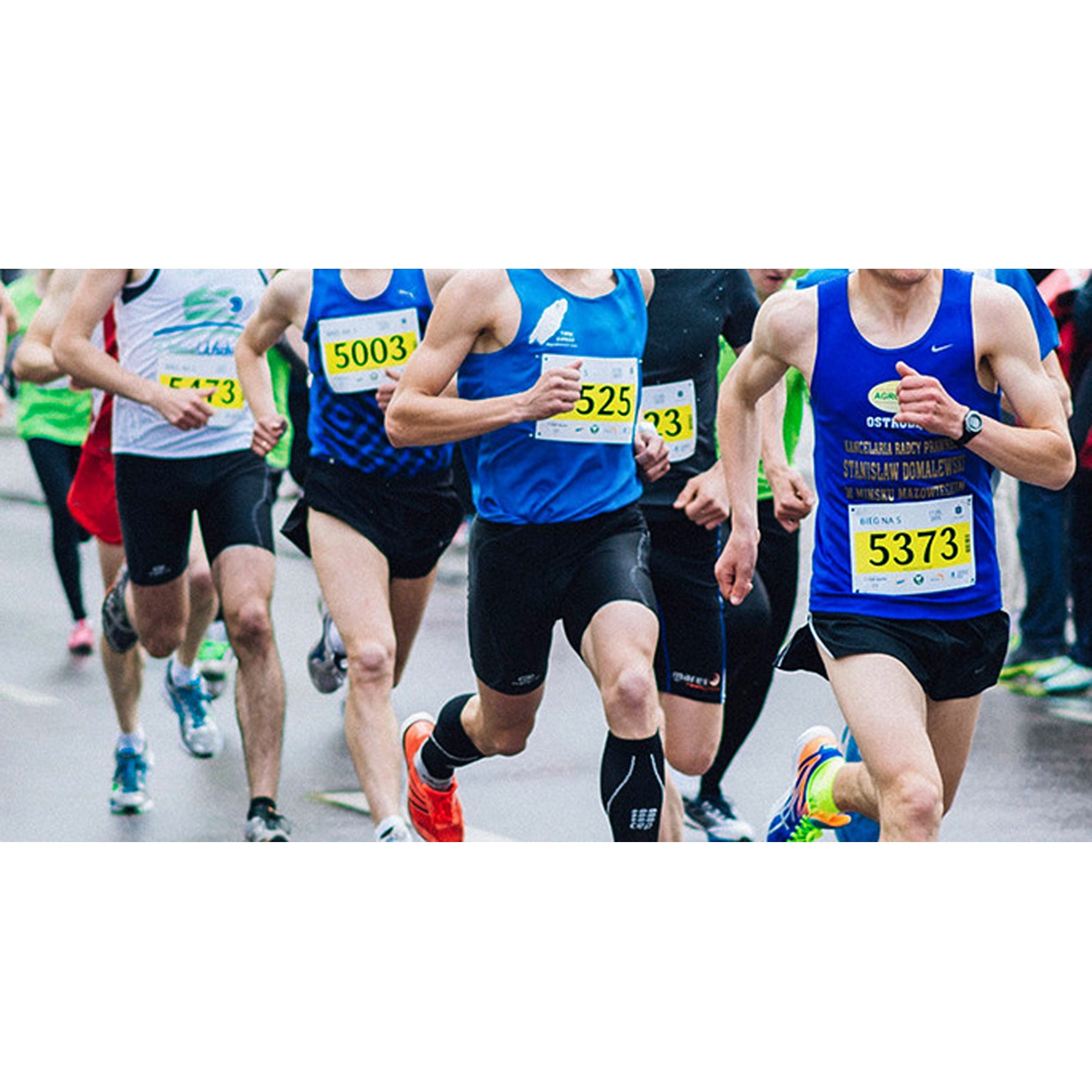 Race Numbers Running Bibs Pins Included 2