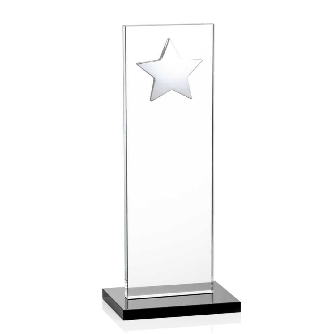 Dallas Star Award - Black/Silver 2