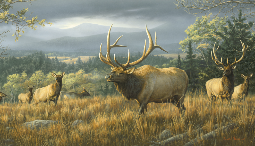 Triumph® Calendars Wildlife Art by the Hautman Brothers Calendar 6