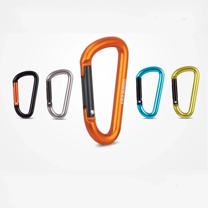 Carabiner 1