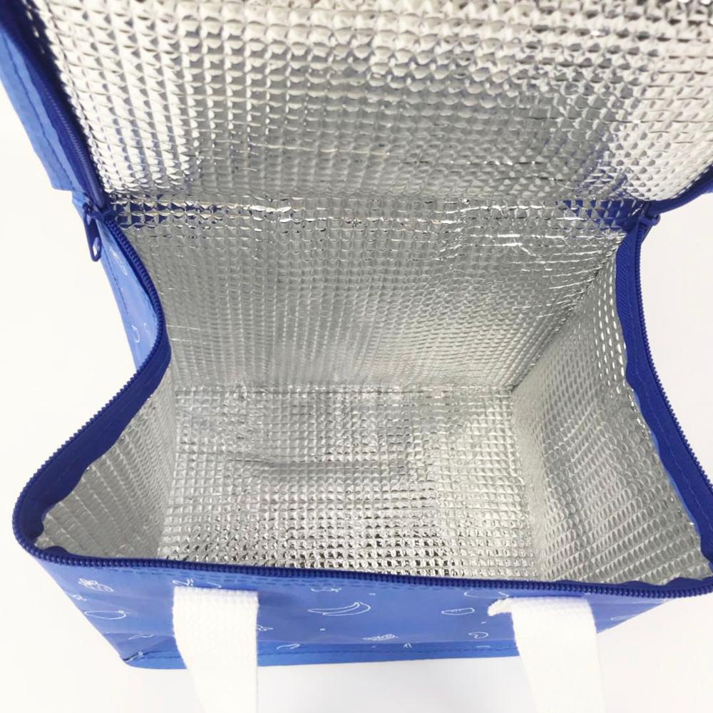 Custom Logo Fashion PP Woven Insulated Tote 12v Cooler Bag 5