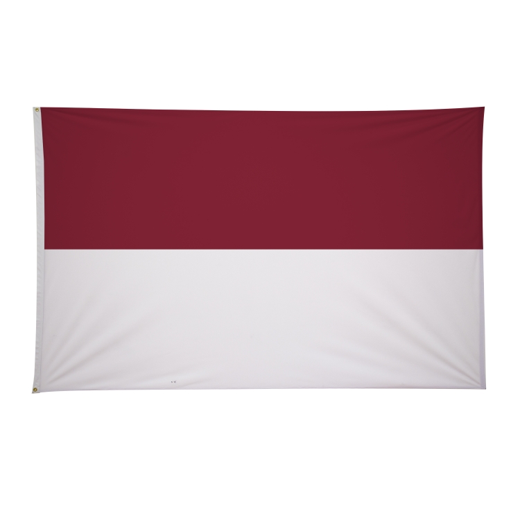 5' x 8' International Flags 105