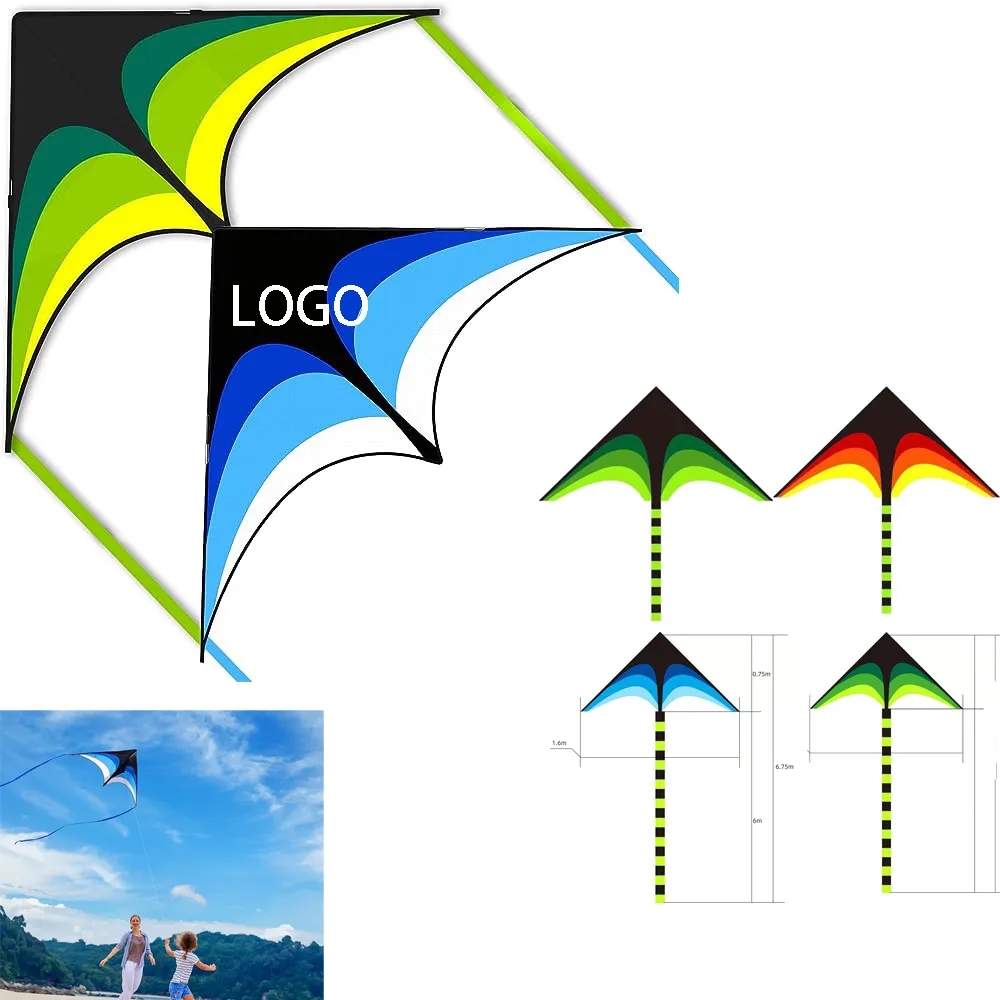 Beginner kite 4