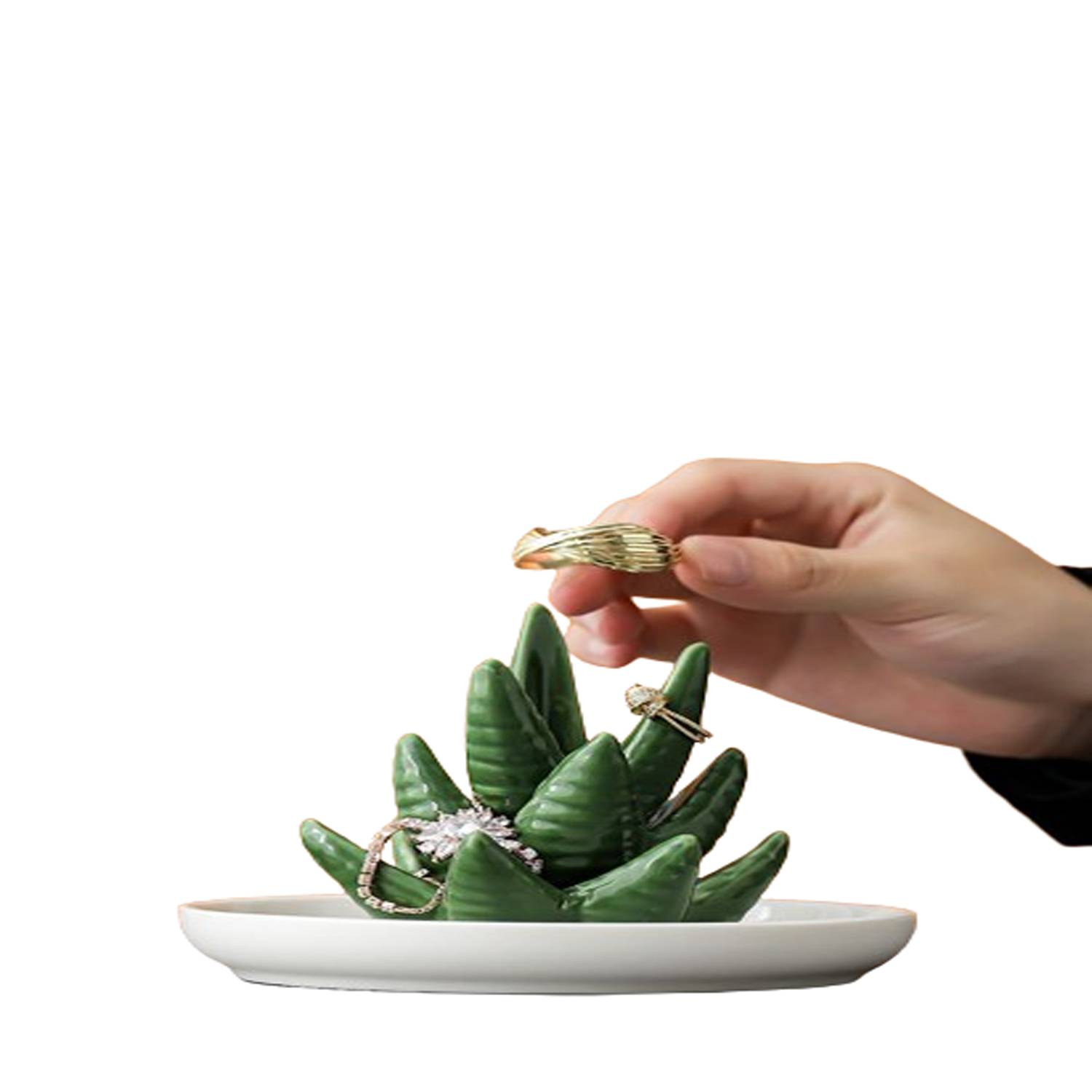 Cactus Decorative Dish Tray 5