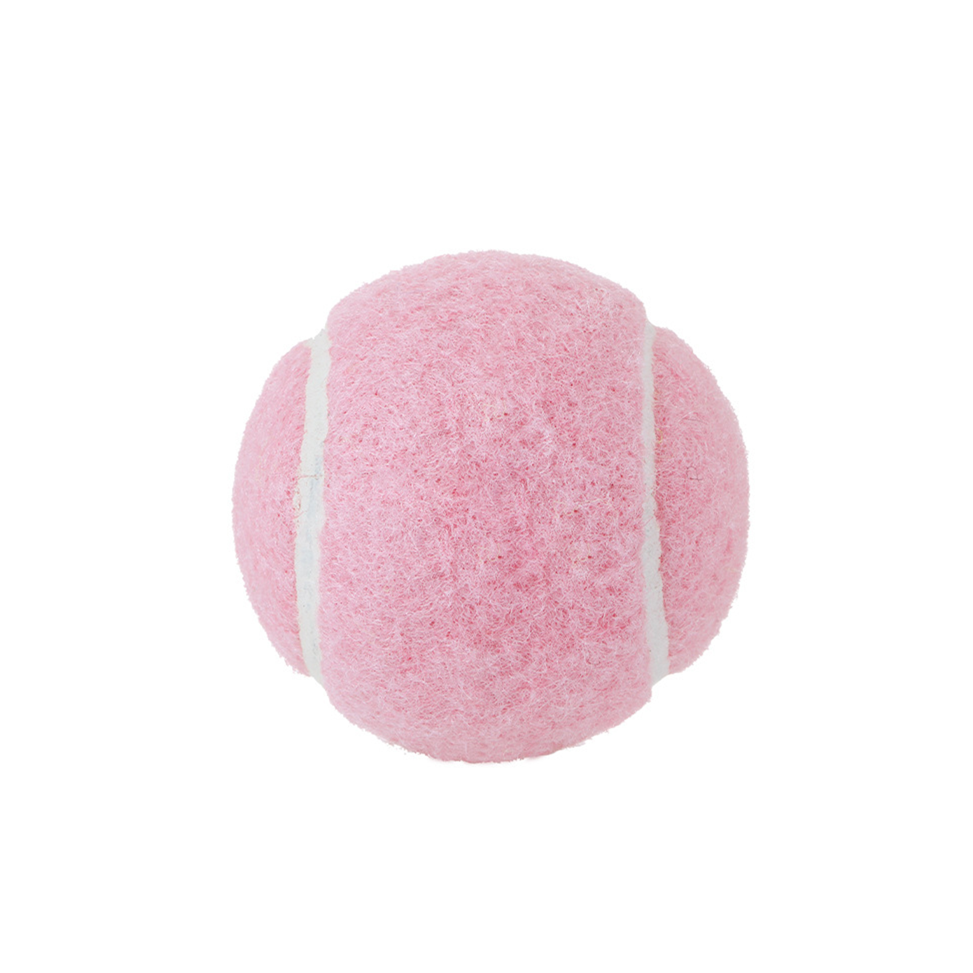 Pet Training Tennis Ball 2.5" Diameter 15