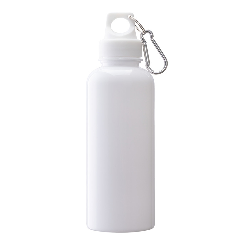 Brio 20 oz. PS Water Bottle w/ Carabiner 29