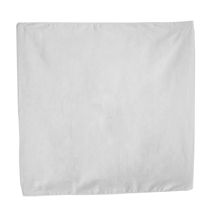 Deluxe Full Color Bandana 8