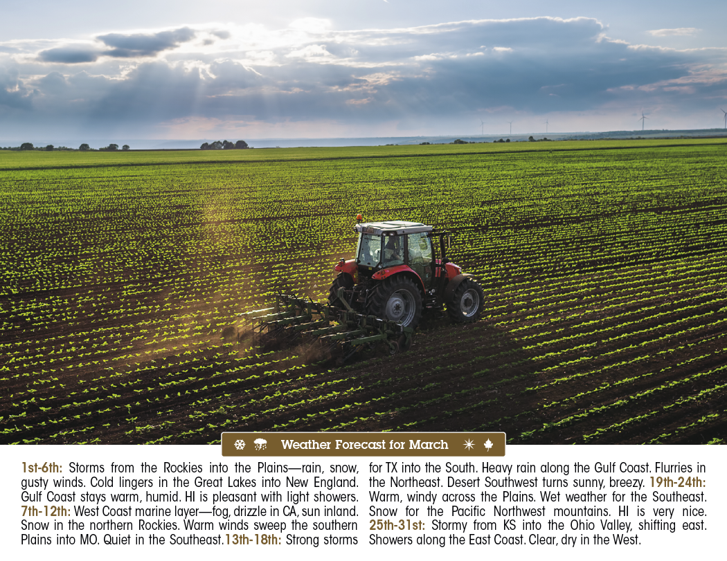 Triumph® Calendars Scenic Almanac 16