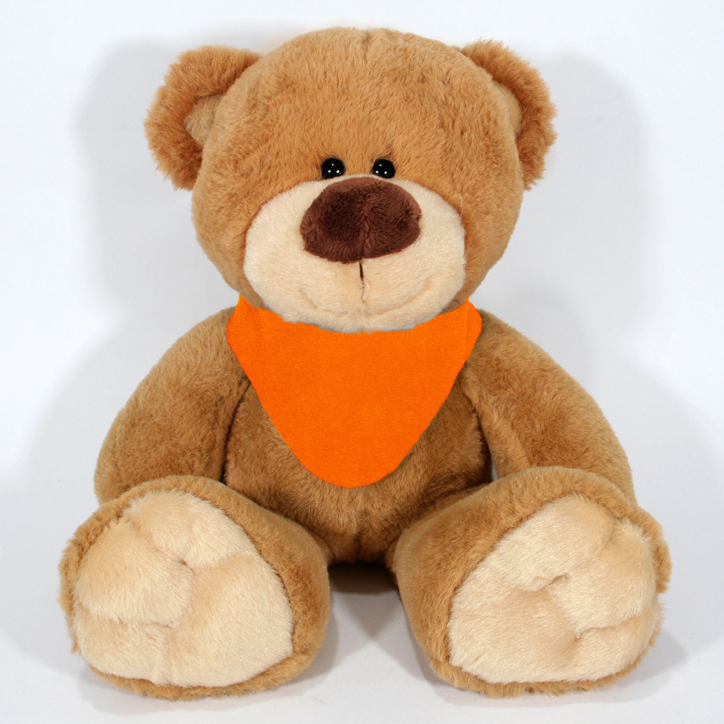 14" Pick-A-Pet Bear 13