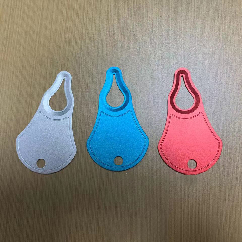 Tick Remover on Keychain 2