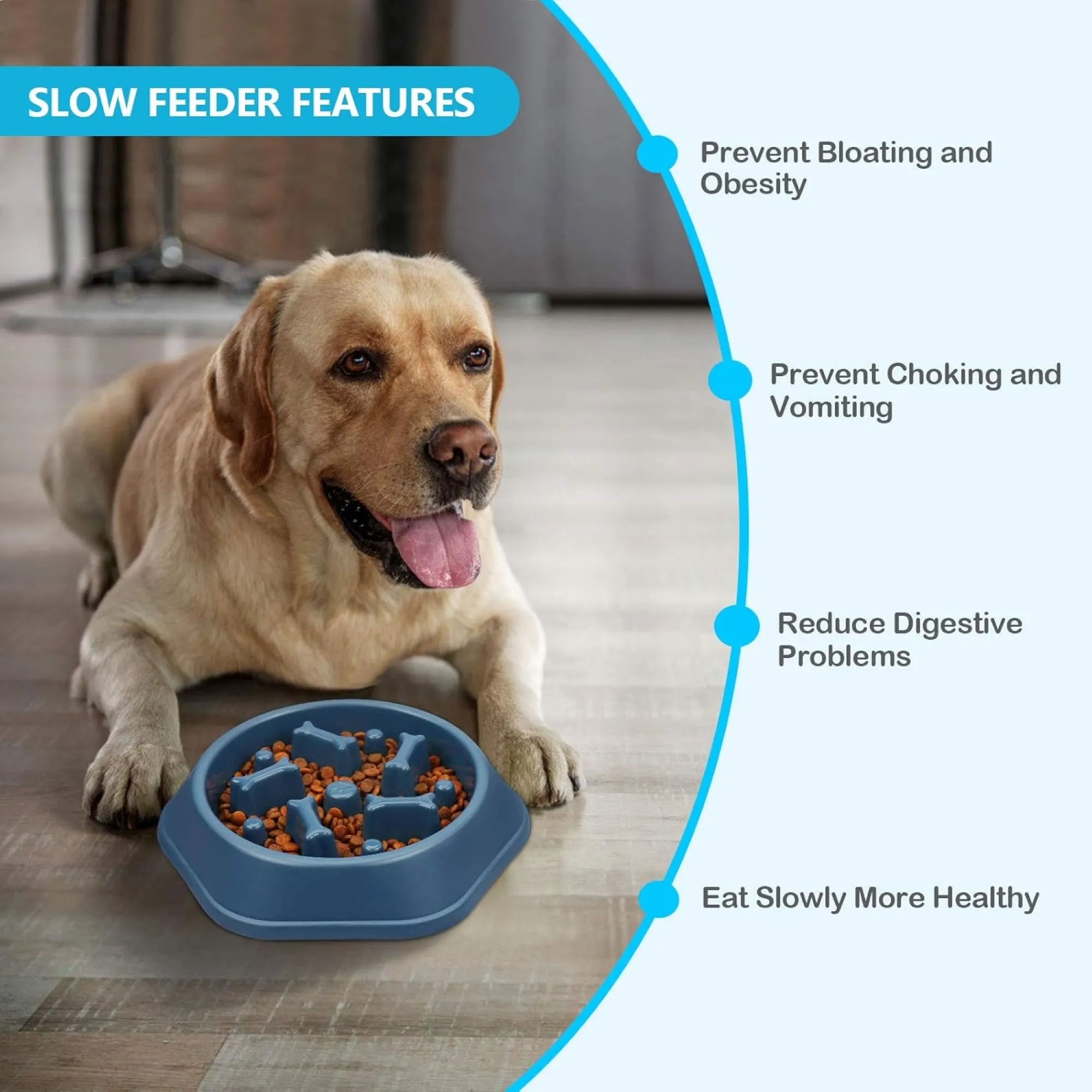 Slow Eating Anti Choking And Anti Slip Dog Bowl 3