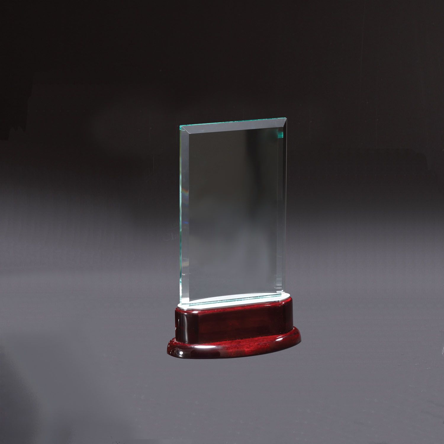Statute Medium Award 2