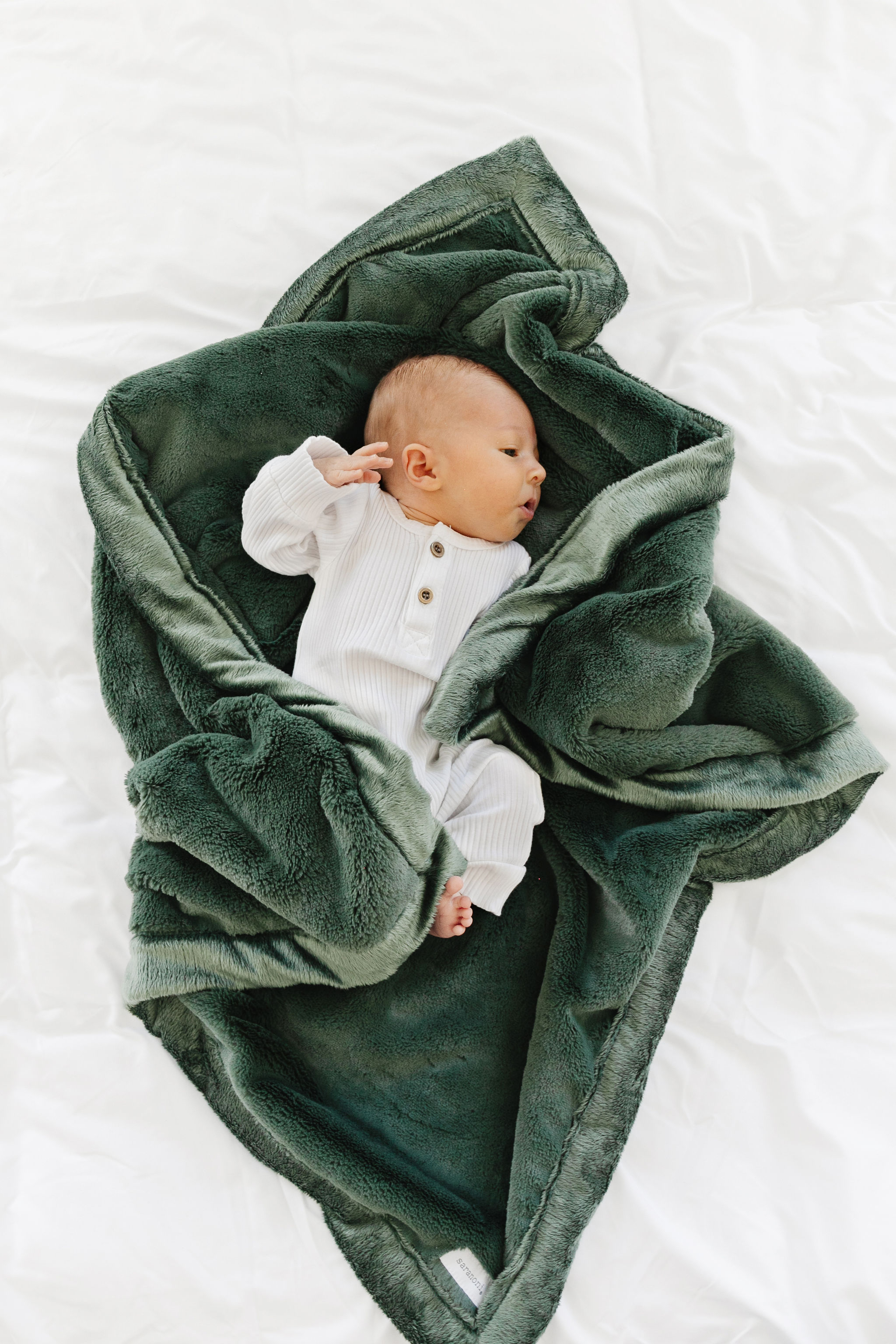 Lush Hunter Green-Mini Luxury Blanket (15x20) 1