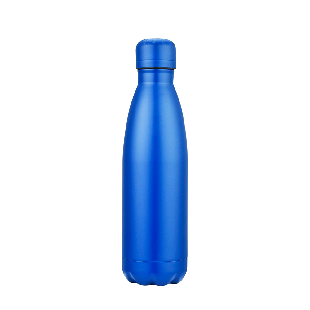 Slate 17oz Vaccuum Bottle