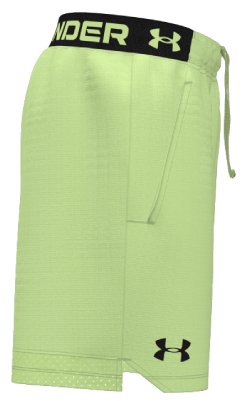 UA Vanish Boys' Shorts 4