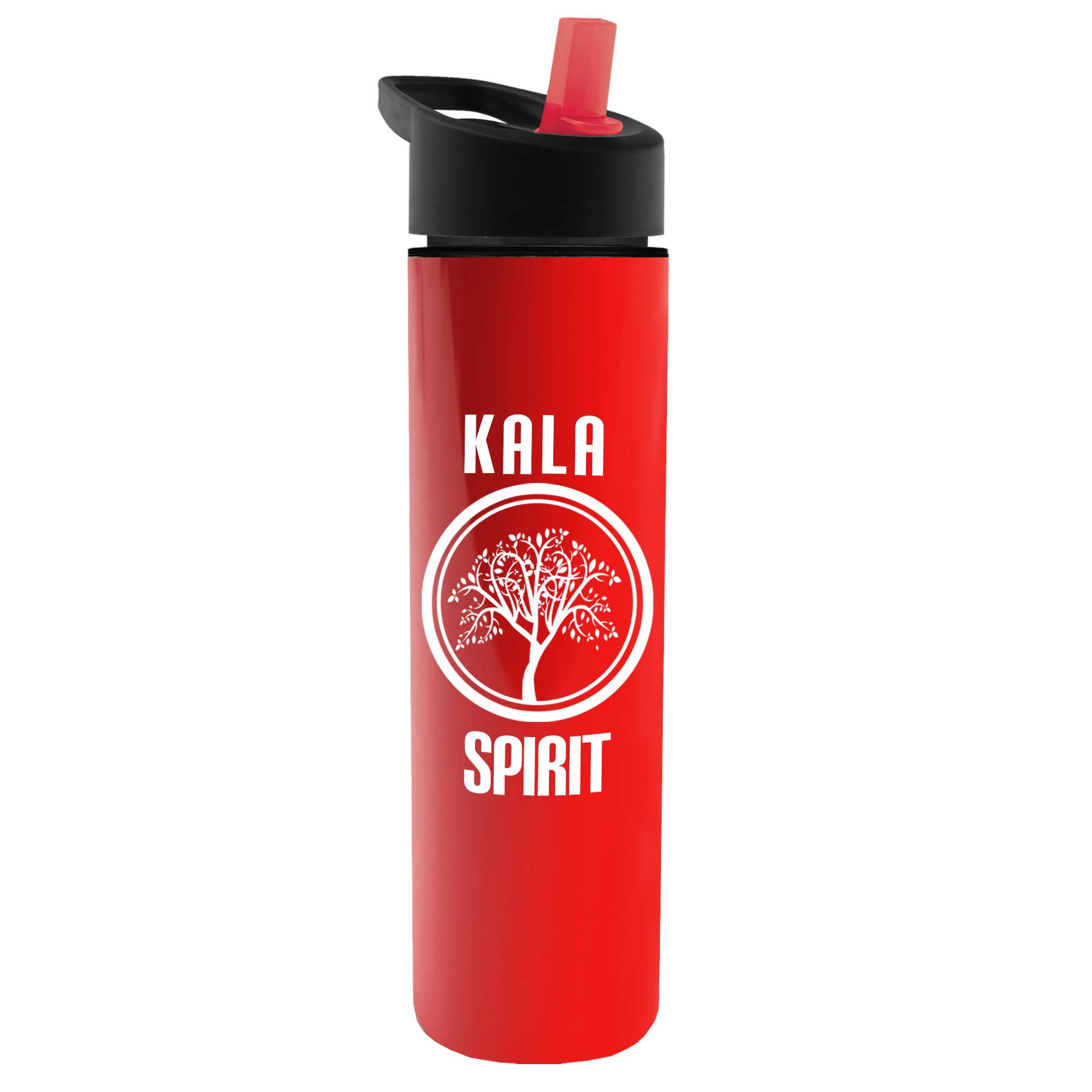 The Chiller - 16 oz. Double Wall Insulated Bottle with Flip Straw 16