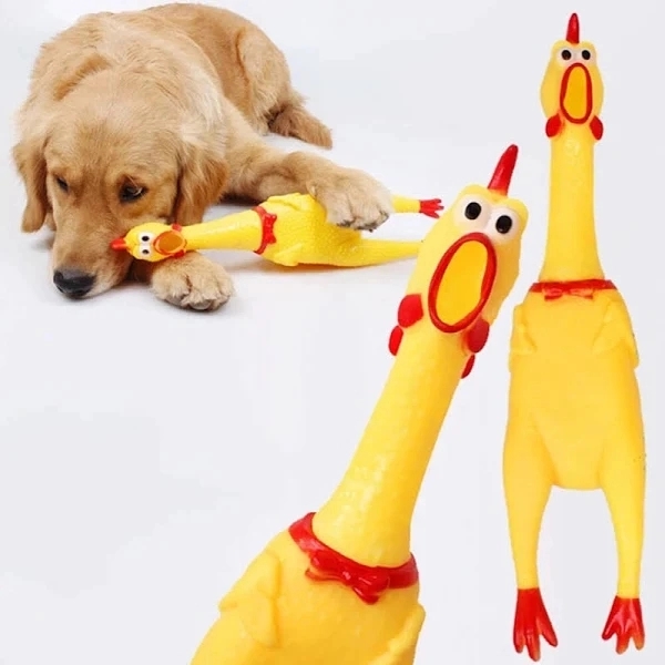 Squawking Chicken 1