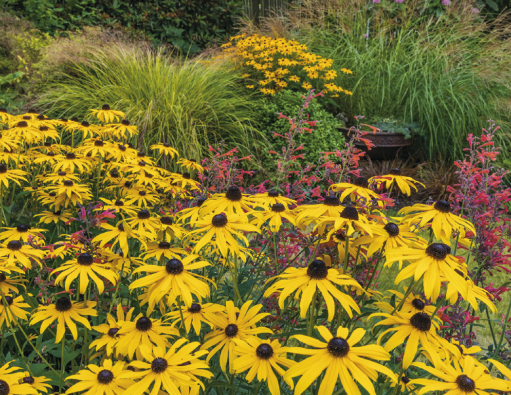 HotLine® Products Gardens Appointment Calendar - Stapled 38