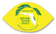 USA Made Premium UV Window Micro-Suction Cling Decal (1.75"x3") Oval Shape