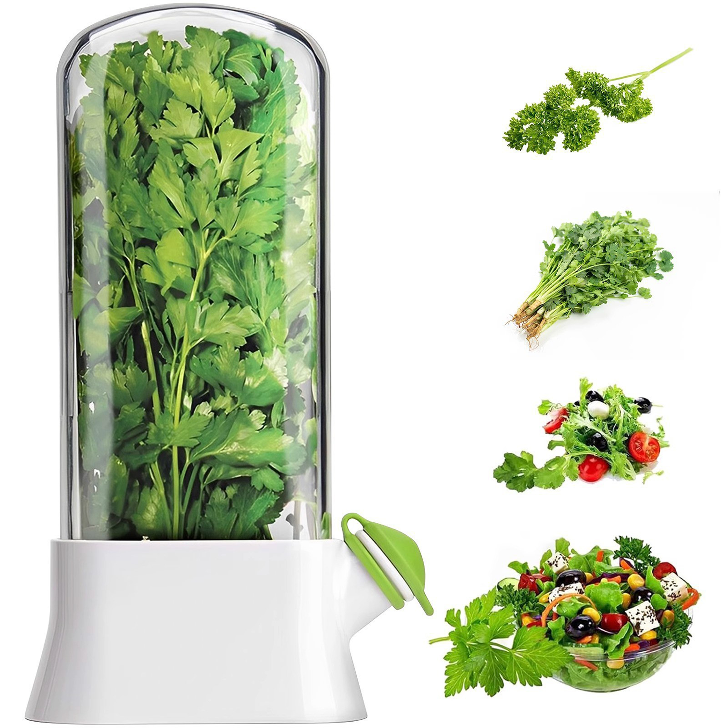 Vegetable Fresh-Keeping Box 3