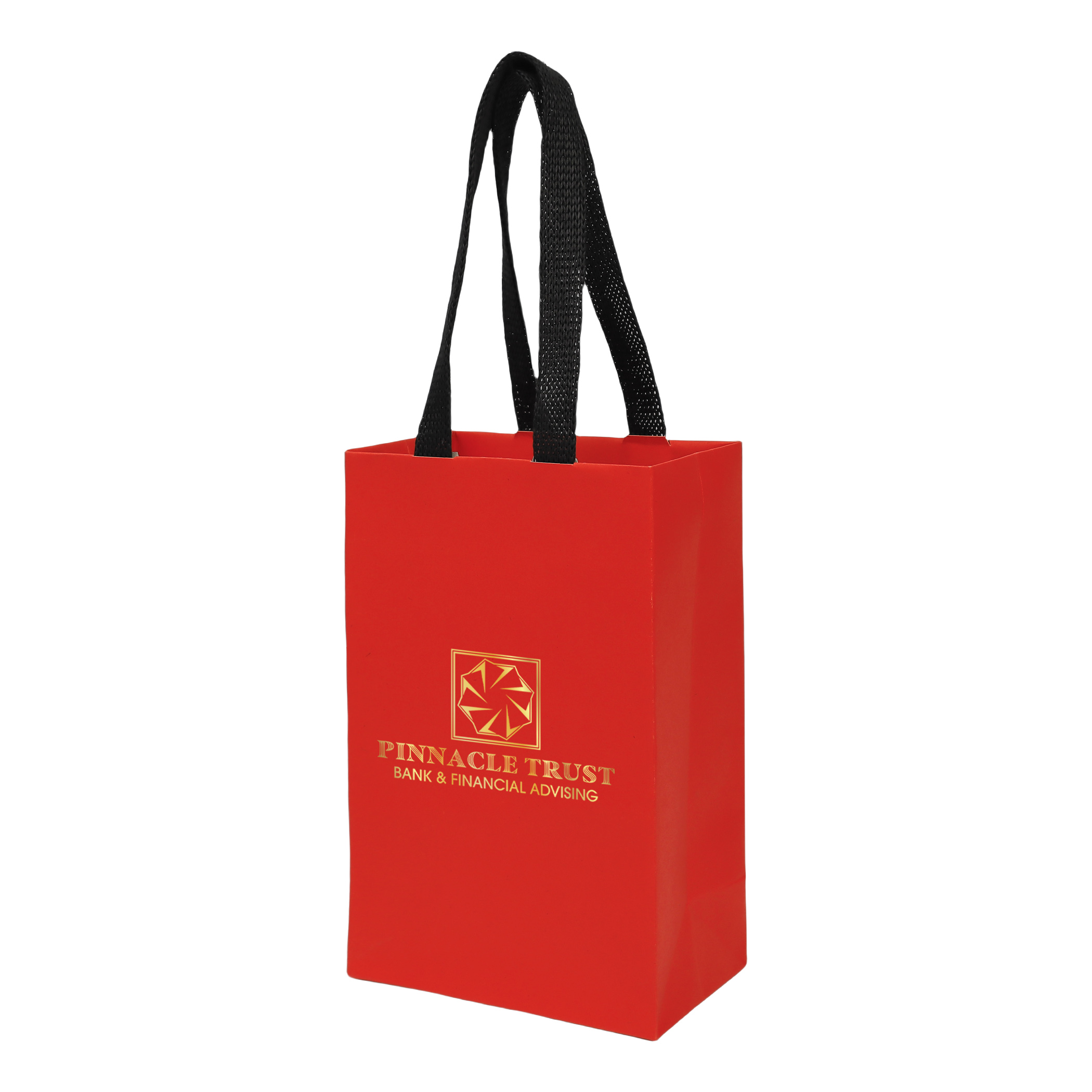 Sugarcane Paper Bag with Embedded Web Style Paper Handles - 2