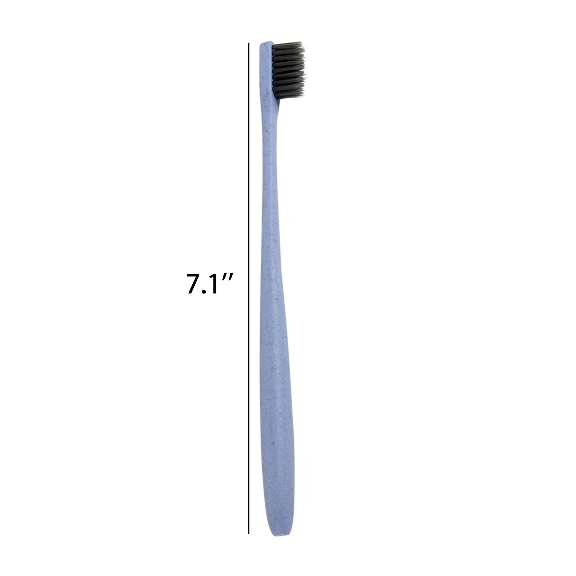 Minimalist Toothbrush 2