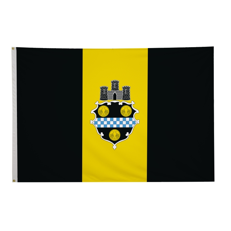 4' x 6' City Flags 21