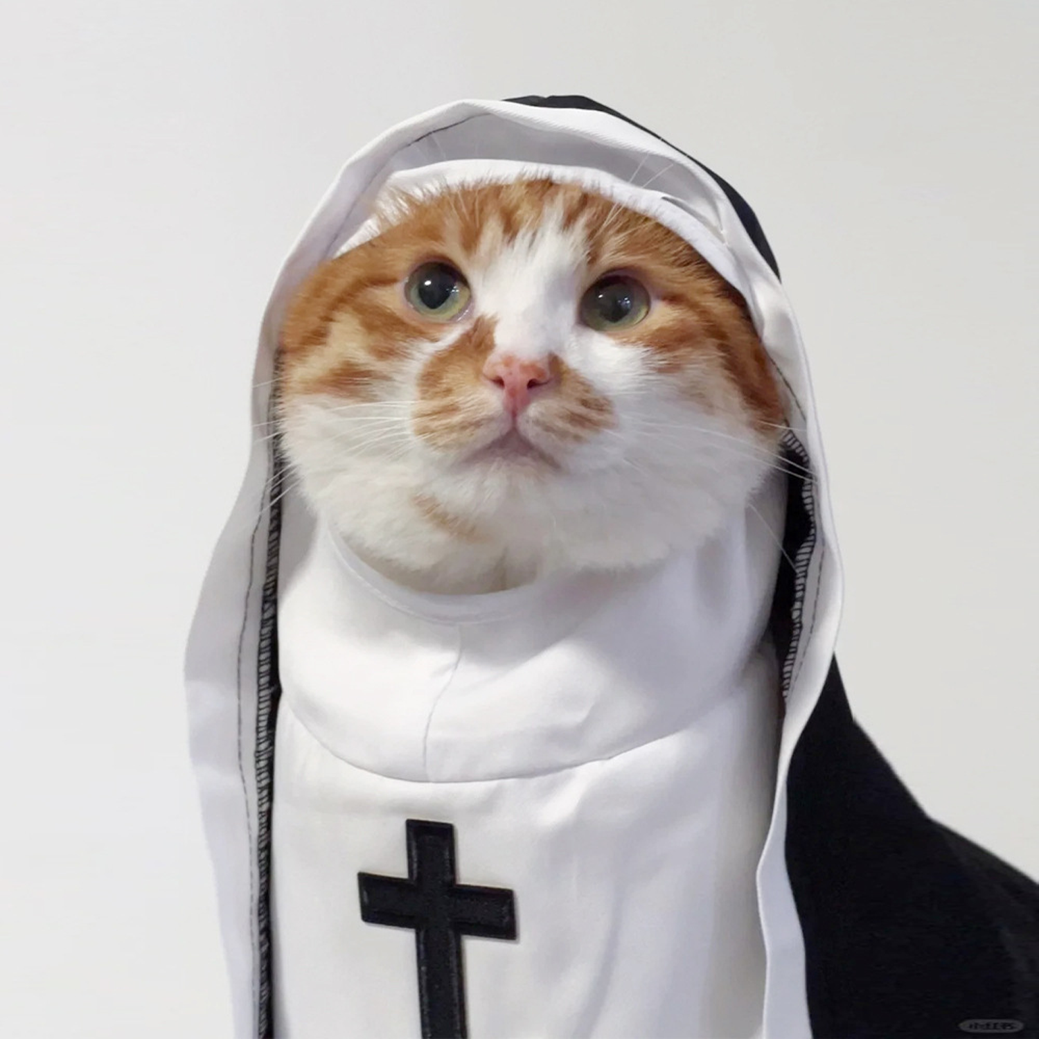 Funny Nun Costume for Pets – Cotton Halloween Outfit 1