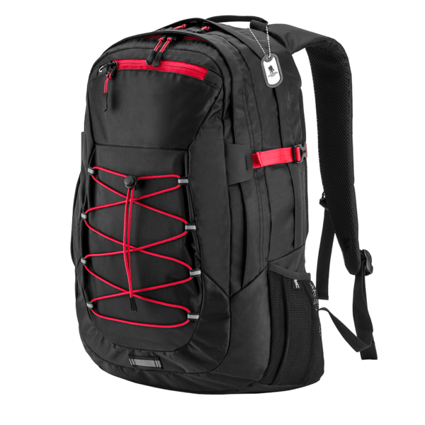 Basecamp Globetrotter Laptop Backpack 9