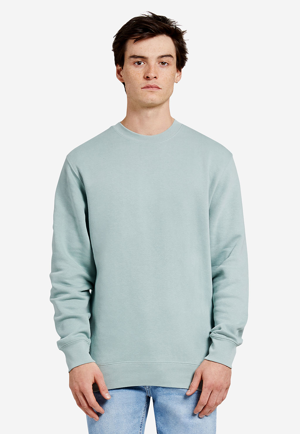 Premium Crewneck Sweatshirt, custom hoodie or sweatshirt with logo imprint 3