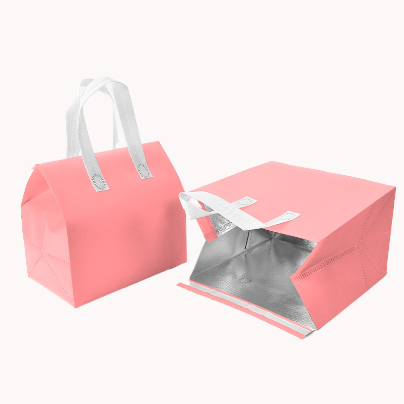 Aluminium Foil Insulation Bag 10