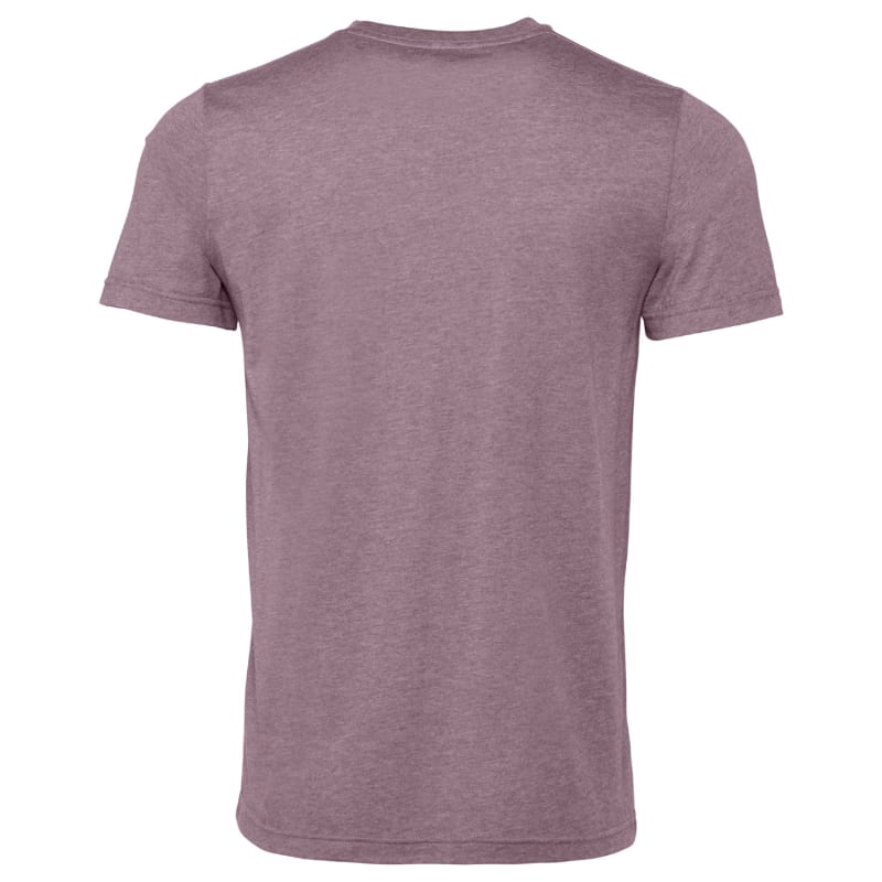 Bella + Canvas Unisex Heather CVC T-Shirt 376