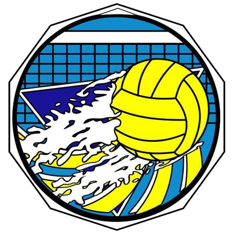 Water Polo Decagon Colored Medallion (2")