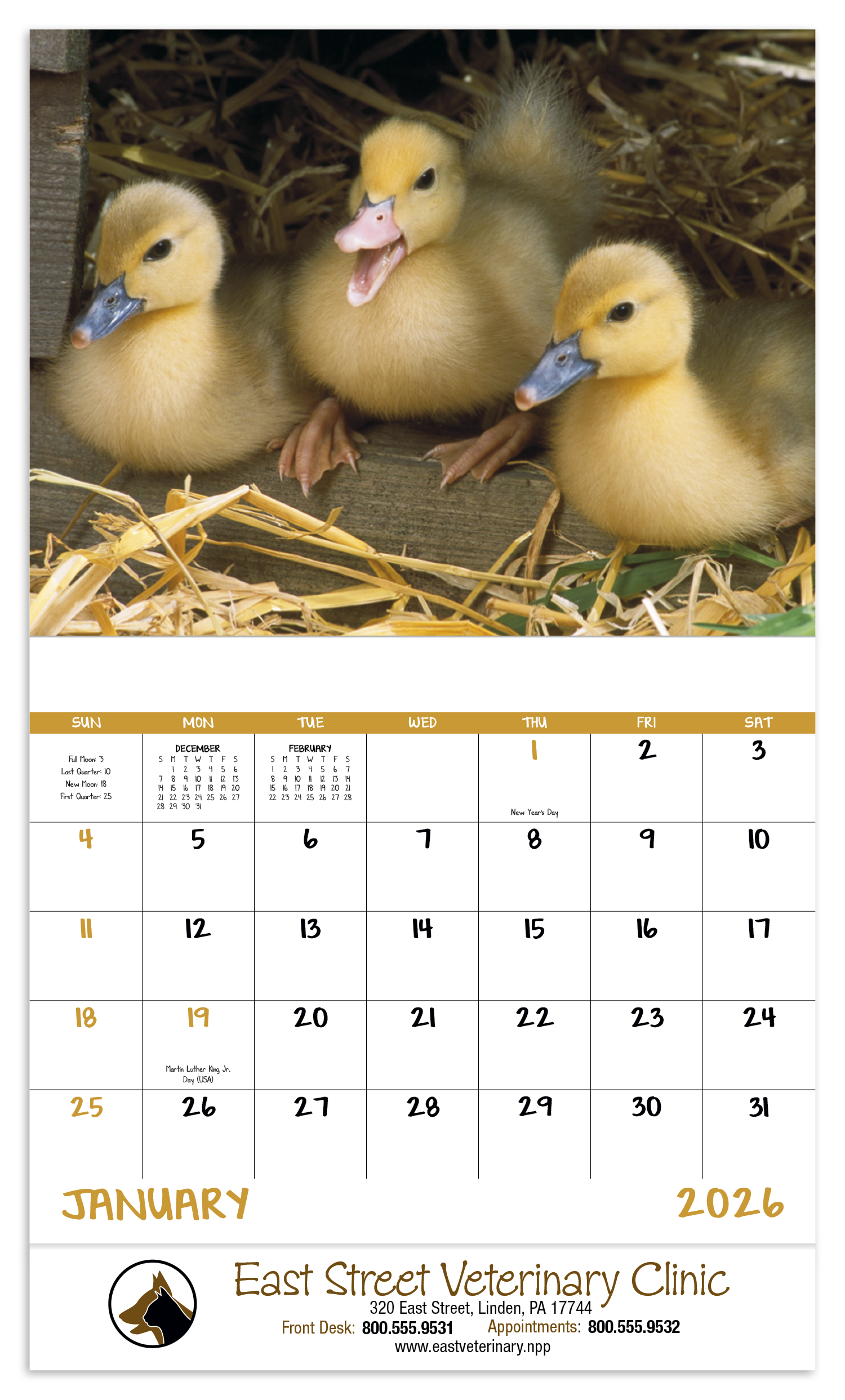 Good Value™ Baby Farm Animals - Stapled Calendar 13